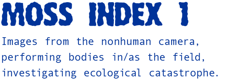 Moss Index transp banner image